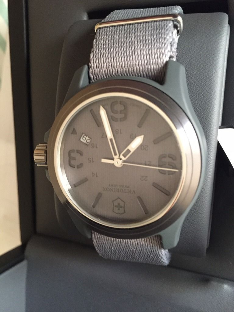 Fsot Victorinox Swiss Army Men S Original Grey Dial And Strap